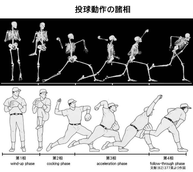投球動作の諸相