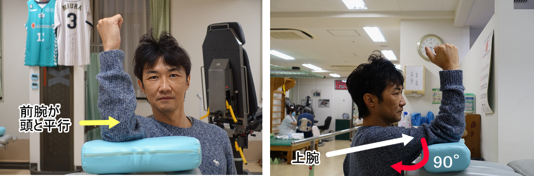 上腕の高さ