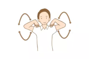 Shoulder joint features